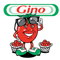 Gino